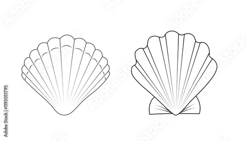 Set of black and white silhouette of seashells isolated on white background. Monochrome contour drawing of a scallop. Vector illustration. Design element for coloring, cards, printing, packaging