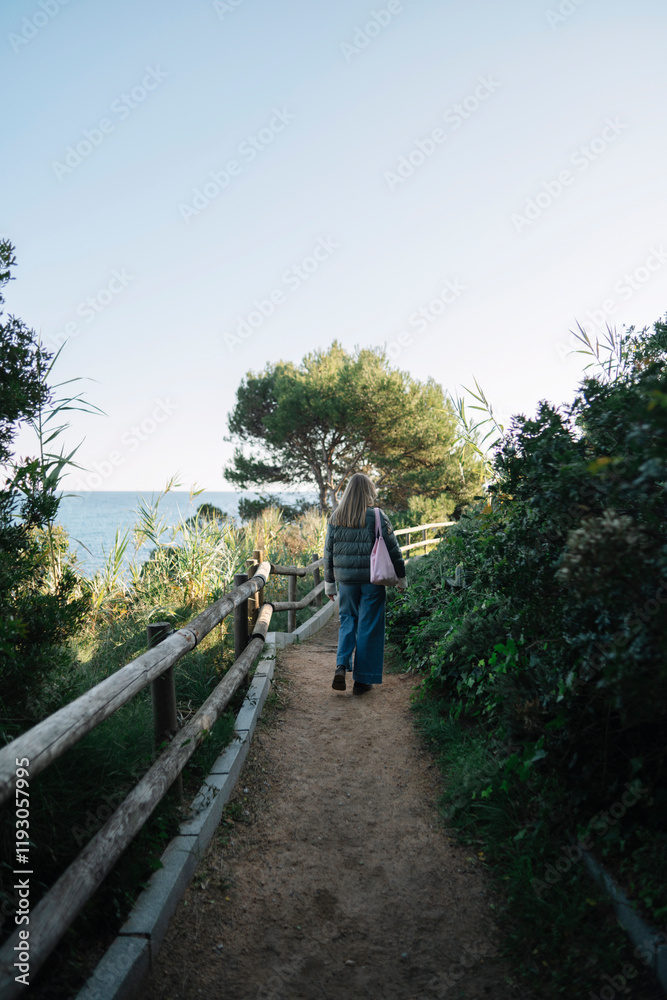 Fototapeta premium walk in the woods near the sea