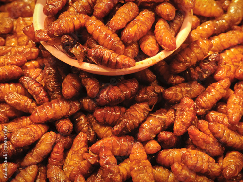fried silkworm pupa on street food