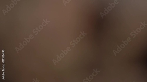 Far away view of Jalmahal from hilly area of Jaipur, Rajasthan with 85mm Lens photo