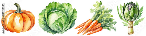 Watercolor illustration set of fresh vegetables, including pumpkin, cabbage, carrots, and artichoke, isolated on a white background. Perfect for culinary designs, healthy lifestyle themes