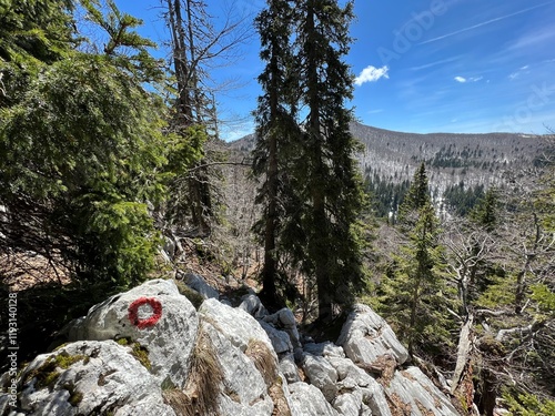 Mountaineering signs and climbing markings in the area of ​​the Northern Velebit National Park, Croatia (Planinarske oznake i penjačke markacije u nacionalnom parku Sjeverni Velebit, Hrvatska) photo