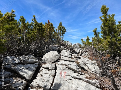 Mountaineering signs and climbing markings in the area of ​​the Northern Velebit National Park, Croatia (Planinarske oznake i penjačke markacije u nacionalnom parku Sjeverni Velebit, Hrvatska) photo