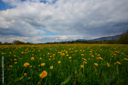 Rundtour zum Hegratsriedsee • Wanderung photo