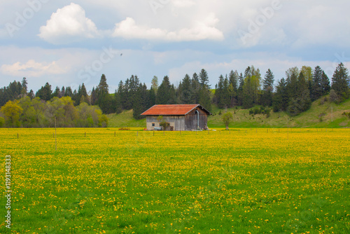 Rundtour zum Hegratsriedsee • Wanderung photo