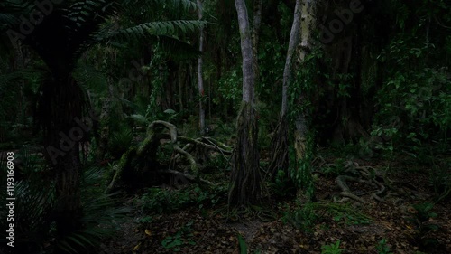 Wallpaper Mural A tropical forest is illuminated by subtle moonlight, revealing towering trees and thick foliage. The atmosphere is tranquil, with a variety of shadows and textures visible on the forest floor. Torontodigital.ca