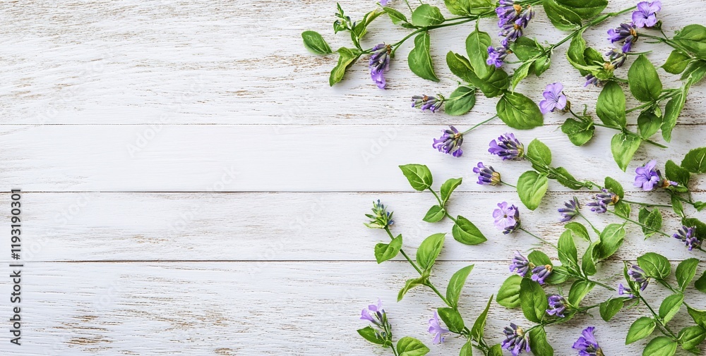 Purple flowers and green leaves on white wood background. Purple flowers and green leaves on white wood background.