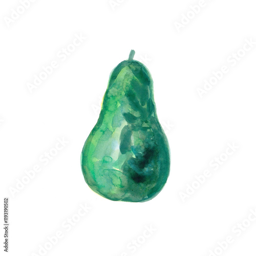 Watercolor vector of avocado fruit, isolated on a white background, and avocado fruit vector. A Watercolor avocado on a transparent background.