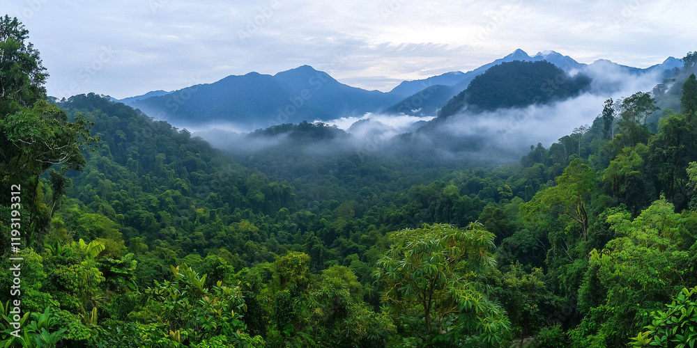 wide angle view of lush mountain forest with misty clouds enveloping landscape, creating serene and mystical atmosphere. dense greenery and distant peaks add depth to scene wide angle view of lush mountain forest with misty clouds enveloping landscape, creating serene and mystical atmosphere. dense greenery and distant peaks add depth to scene