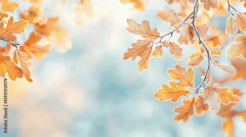 Golden oak leaves on branches against a soft, blurred background. Golden oak leaves on branches against a soft, blurred background.