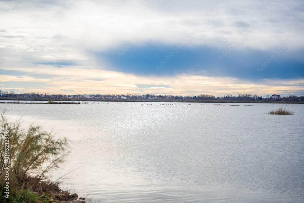 Landscape view of Salina nature park with flamingos near Ulcinj town in winter time in Montenegro Landscape view of Salina nature park with flamingos near Ulcinj town in winter time in Montenegro