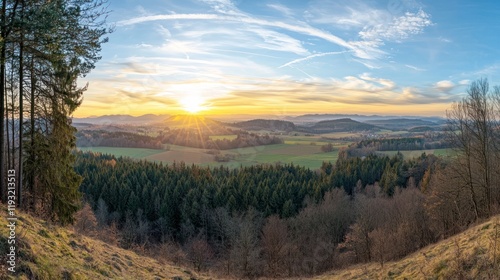 Wald panorama