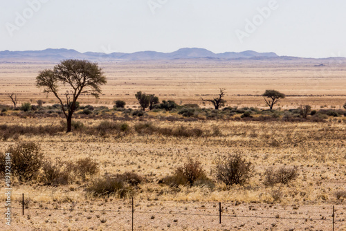 Obraz na plátně The apparent barren landscape of the pro-namib desert, in the south of Namibia,