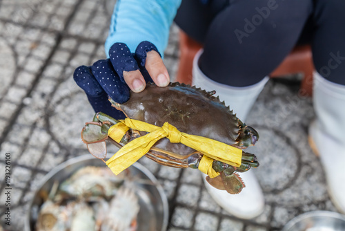 Fresh black crab at the market in Thailand photo