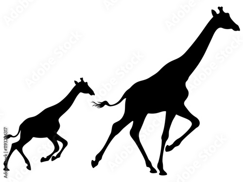 Vector silhouette of a giraffe on white background
