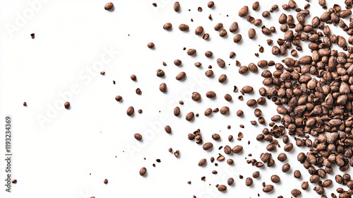 An overhead shot of cocoa beans scattered on a white background, creating a visually striking composition with their various sizes and shapes.