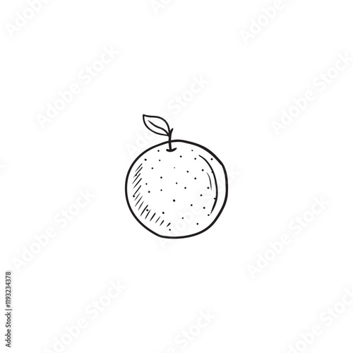 Juicy tangerine with leaf in black isolated on white background. Hand drawn vector sketch illustration in doodle engraved vintage line art style. Juicy winter fruit, citrus, bergamot, tea engredient photo