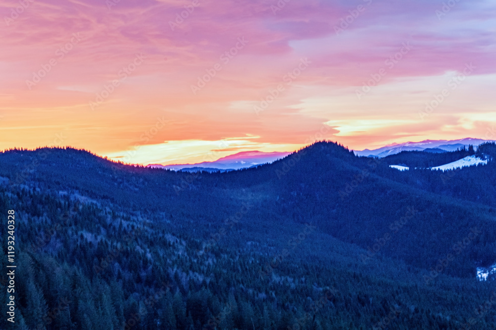 Fototapeta premium Landscapes - Forest - Europe, Romania, Suceava region