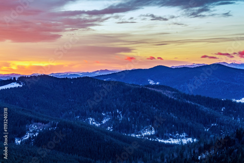 Landscapes - Forest - Europe, Romania, Suceava region 