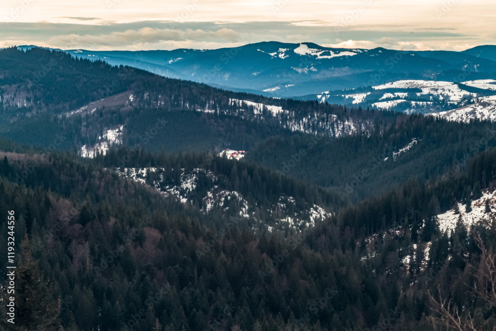 Obraz premium Landscapes - Forest - Europe, Romania, Suceava region 