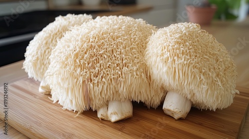 Lion's mane mushrooms. s 250 -- photo