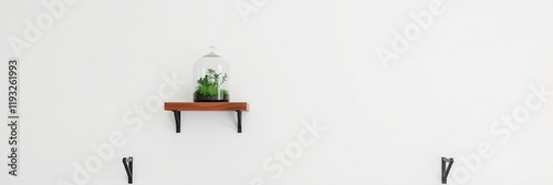 A wooden shelf on a large white wall displaying a small terrarium with plants and moss, small plants, miniaturized landscape photo