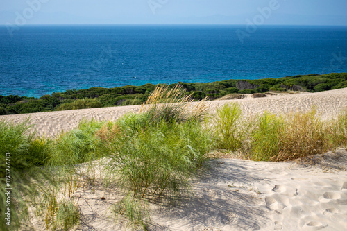 Fototapeta Naklejka Na Ścianę i Meble -  Valdevaqueros Dune in Tarifa, Strait of Gibraltar, Spain