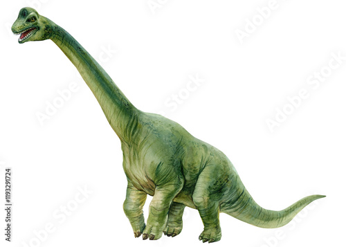 watercolor dinosaurs brachiosaurus dinosaur watercolor illustration. Hand-painted prehistoric Isolated white background photo