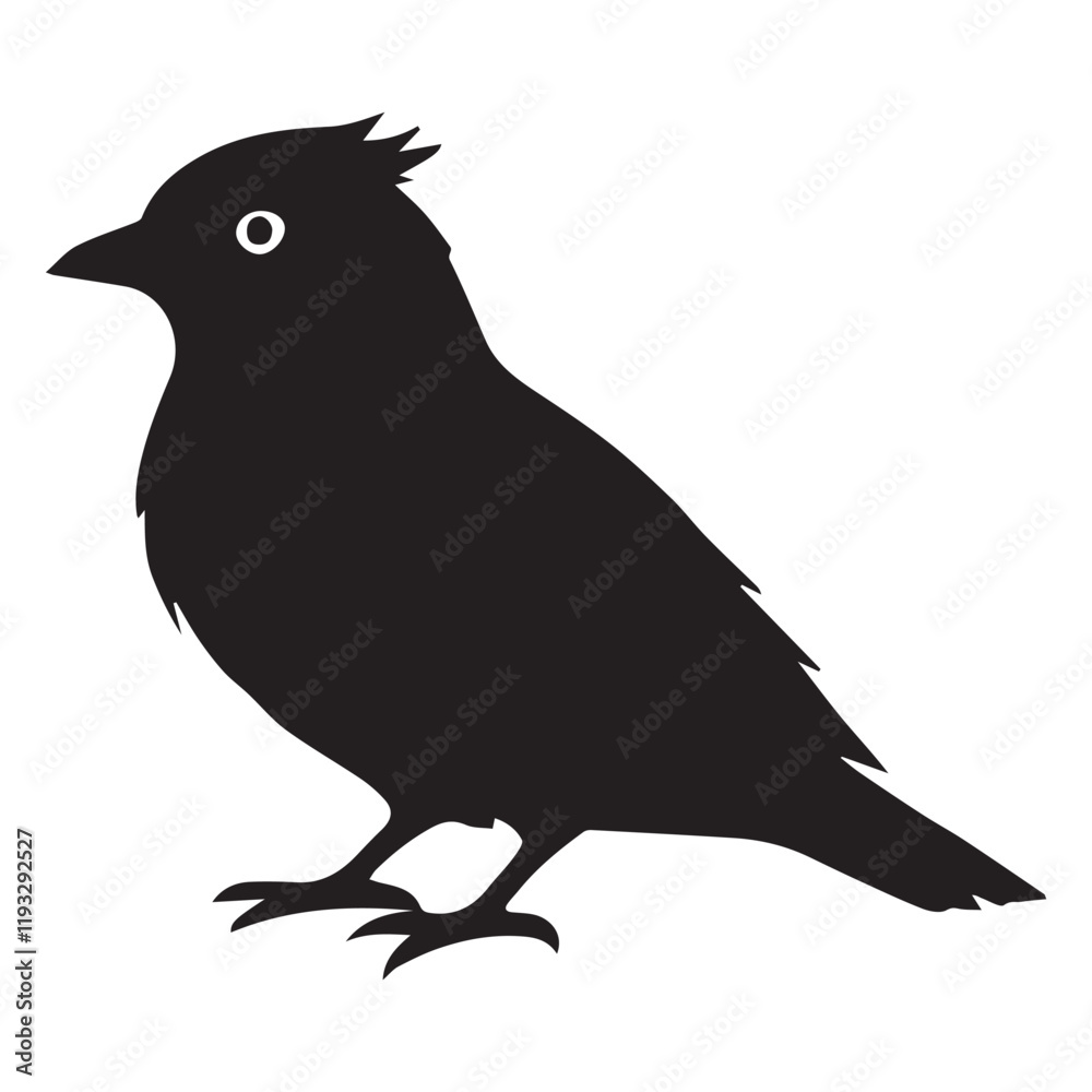 Fototapeta premium Silhouette of a bird on white background 