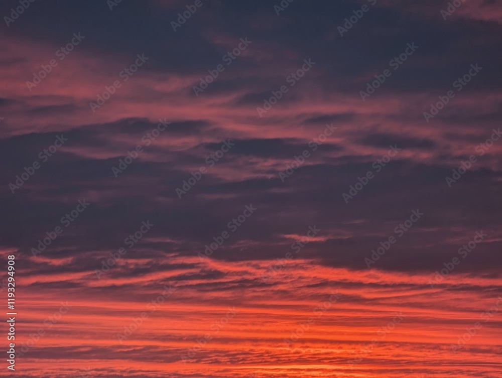 Fototapeta premium sunset in the sky