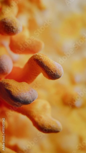 Vivid orange Cordyceps mushroom rotates slowly in macro 4K vertical view. The textured surface, soft blur background, and organic shape highlight its medicinal potential and rare beauty.