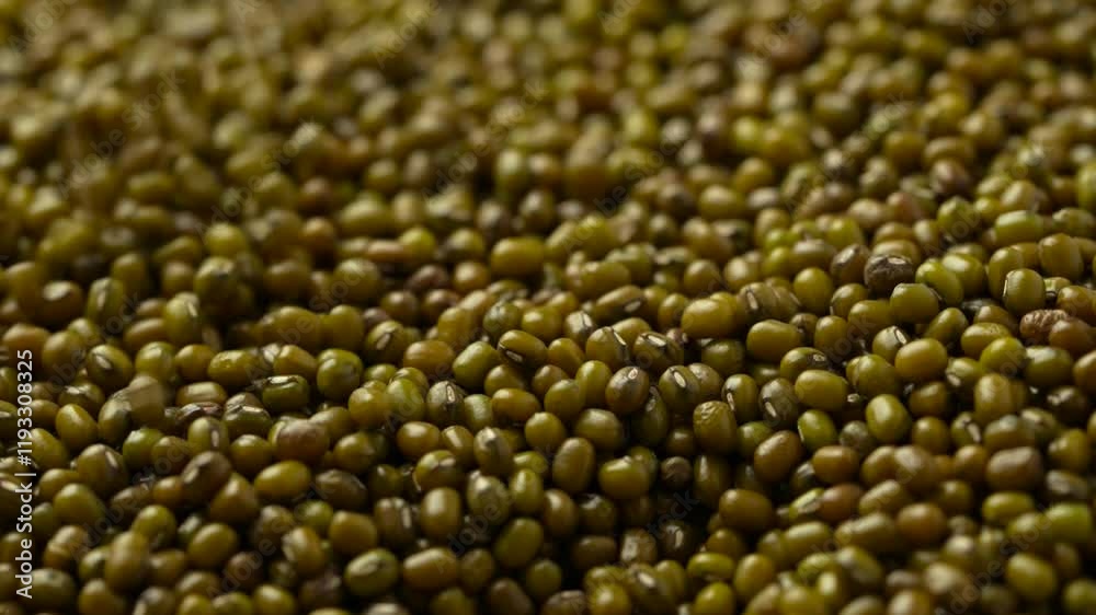 Macro video of mung beans kept on rotating surface. Bunch of moong beans. Macro video of mung beans kept on rotating surface. Bunch of moong beans.