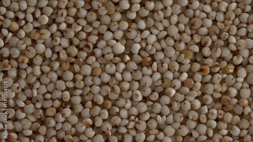 Macro video of millets on rotating surface. Close up of sorghum millets. Macro video of millets on rotating surface. Close up of sorghum millets.