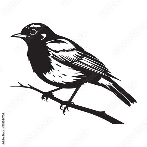 Elegant Black and White Silhouette of a Bird Perched on a Branch photo