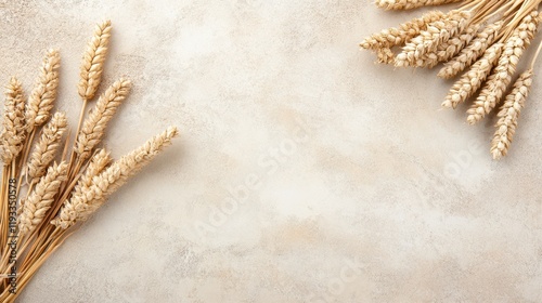 A collection of wheat stalks arranged on a table, set against a clean white background, emphasizing their natural beauty and simplicity.