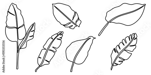 Tropical leaves in oneline drawing style, black and white tropical drawings, Set of Tropical leaves isolated continuous one line drawing, Tropical Leaves Drawing, Outline tropic palm leaf set. One. 
