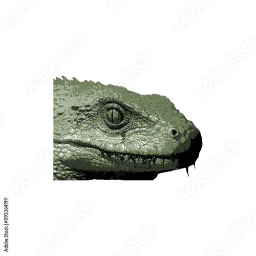 Lizard, dragon, iguana watches you. 