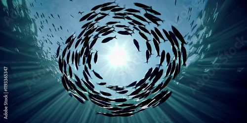Fish Swarm Forming Spiral Underwater
