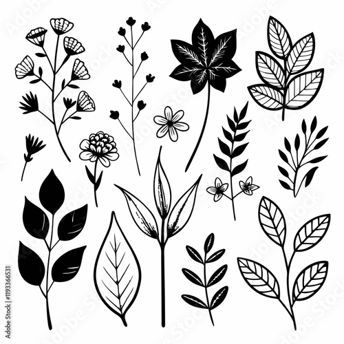 Collection of hand-drawn botanical sketches of various leaves, stems, and small flowers in black ink. 