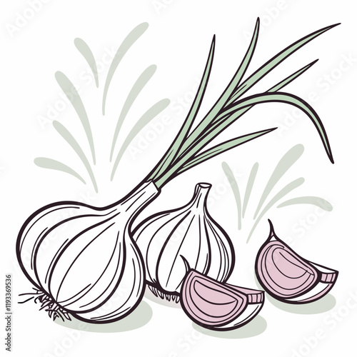 garlic and onion isolated