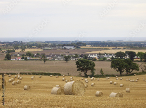 Фотография Harvest time
