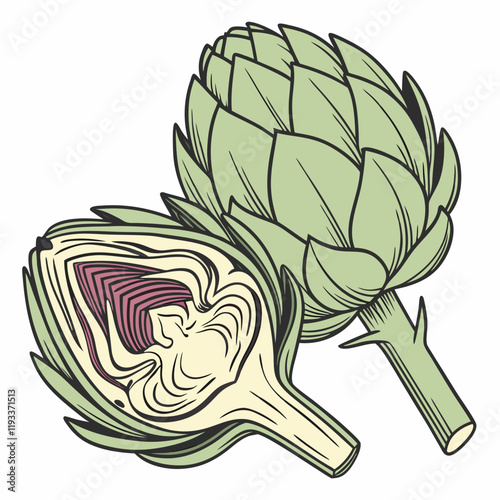 illustration of a artichoke