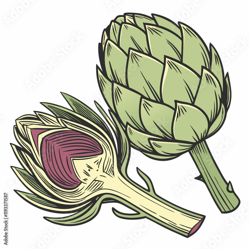 artichoke isolated on white