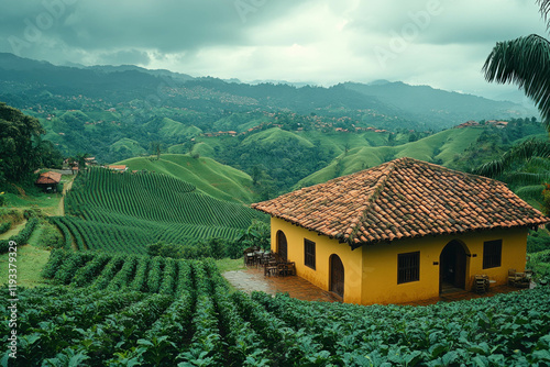 Colombia Coffee Plantation