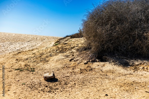 Playas de Todos Santos Baja California Sur