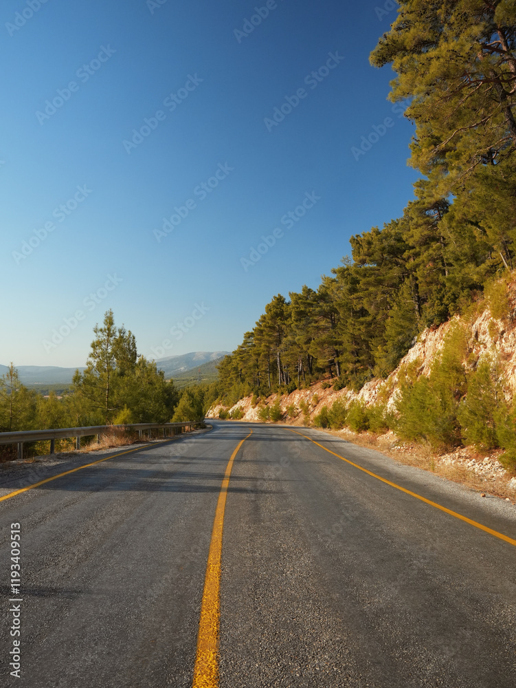 Fototapeta premium road in autumn