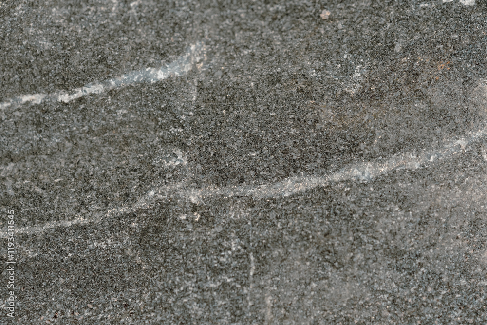 Fototapeta premium gray granite with some white veins. Small grain.
