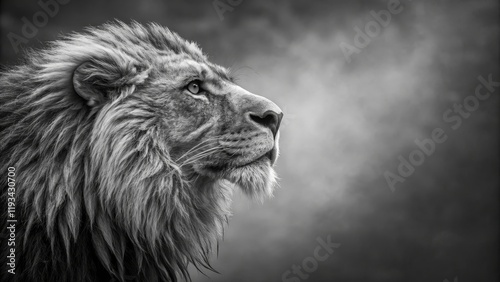 Majestic Lion Profile Monochrome Photography, Side View Composition, King of the Jungle Concept, Lion, Wildlife Lion Photography, Black and White