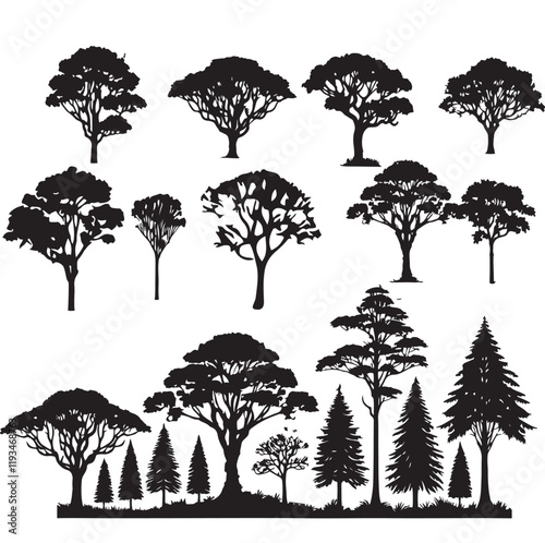 Silhouette tree line drawing set, Side view, set of graphics trees elements, Vector illustration in stroke fill . Tropical, oak, maple, poplar, birch.