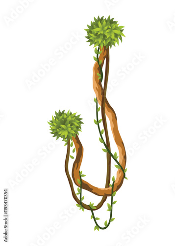 Liana branch. Twisted wild jungle vine plants. Woody natural tropical rainforest, exotic botany element. Vector design element